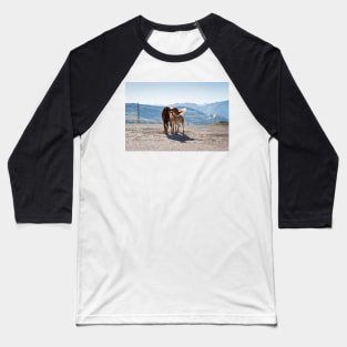 Foal and Mare Baseball T-Shirt